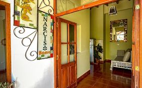 Narciso Home